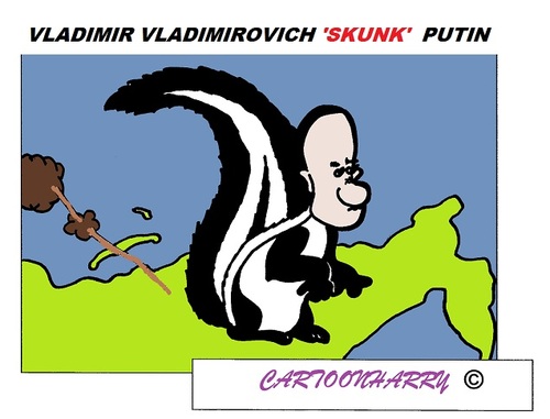 Cartoon: Putin (medium) by cartoonharry tagged putin,russia,skunk,cartoon,caricature,cartoonist,cartoonharry,dutch,toonpool