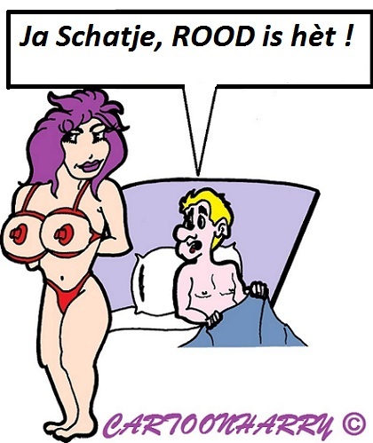 Cartoon: Rood (medium) by cartoonharry tagged rood,meisje,jongen,bed,bh,cartoon,cartoonist,cartoonharry,dutch,toonpool
