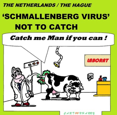 Cartoon: Schmallenberg Virus (medium) by cartoonharry tagged schmallenberg,virus,toonpool,dutch,cartoonharry,cartoonist,cartoon