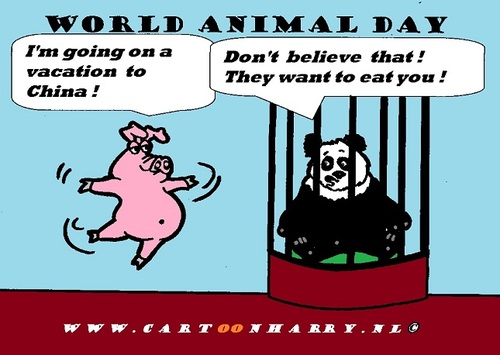 Cartoon: WORLD ANIMAL DAY (medium) by cartoonharry tagged world,animal,day,pigs,cartoon,cartoonist,cartoonharry,dutch,toonpool