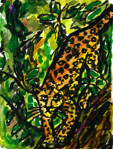 Cartoon: Leopard auf einem Baum (medium) by Pascal Kirchmair tagged predator,raubkatze,predateur,felin,felino,fauve,predador,predatore,leopard,leopardo,big,cat,cats,katzen,gatos,gatti,chats,illustration,ink,drawing,zeichnung,pascal,kirchmair,cartoon,caricature,karikatur,ilustracion,dibujo,desenho,ilustracao,illustrazione,illustratie,dessin,de,presse,tekening,teckning,cartum,vineta,comica,vignetta,caricatura,tusche,tuschezeichnung,portrait,retrato,porträt,ritratto,art,arte,kunst,artwork,encre,chine,tinta,china,inchiostro,nanquim,pardo,painting,pintura,peinture,aquarell,aquarelle,watercolor,watercolour,acuarela,malerei,africa,afrique,afrika,asien,asie,asia,predator,raubkatze,predateur,felin,felino,fauve,predador,predatore,leopard,leopardo,big,cat,cats,katzen,gatos,gatti,chats,illustration,ink,drawing,zeichnung,pascal,kirchmair,cartoon,caricature,karikatur,ilustracion,dibujo,desenho,ilustracao,illustrazione,illustratie,dessin,de,presse,tekening,teckning,cartum,vineta,comica,vignetta,caricatura,tusche,tuschezeichnung,portrait,retrato,porträt,ritratto,art,arte,kunst,artwork,encre,chine,tinta,china,inchiostro,nanquim,pardo,painting,pintura,peinture,aquarell,aquarelle,watercolor,watercolour,acuarela,malerei,africa,afrique,afrika,asien,asie,asia
