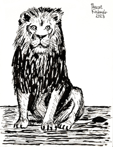 Cartoon: Löwe (medium) by Pascal Kirchmair tagged lion,leao,leon,leo,leone,löwe,dessin,zeichnung,portrait,retrato,ritratto,porträt,art,arte,kunst,predator,raubkatze,predateur,felin,felino,fauve,predador,predatore,big,cat,cats,katzen,gatos,gatti,chats,illustration,ink,drawing,pascal,kirchmair,cartoon,caricature,karikatur,ilustracion,dibujo,desenho,disegno,ilustracao,illustrazione,illustratie,de,presse,tekening,teckning,cartum,vineta,comica,vignetta,caricatura,tusche,tuschezeichnung,encre,chine,tinta,china,inchiostro,nanquim,artwork,safari,zoo,africa,afrique,afrika,lion,leao,leon,leo,leone,löwe,dessin,zeichnung,portrait,retrato,ritratto,porträt,art,arte,kunst,predator,raubkatze,predateur,felin,felino,fauve,predador,predatore,big,cat,cats,katzen,gatos,gatti,chats,illustration,ink,drawing,pascal,kirchmair,cartoon,caricature,karikatur,ilustracion,dibujo,desenho,disegno,ilustracao,illustrazione,illustratie,de,presse,tekening,teckning,cartum,vineta,comica,vignetta,caricatura,tusche,tuschezeichnung,encre,chine,tinta,china,inchiostro,nanquim,artwork,safari,zoo,africa,afrique,afrika