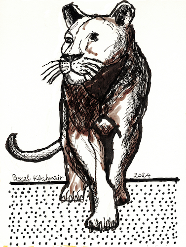 Cartoon: Löwin (medium) by Pascal Kirchmair tagged löwin,lioness,lionne,leona,leonessa,leoa,leonina,dessin,zeichnung,portrait,retrato,ritratto,porträt,art,arte,kunst,predator,raubkatze,predateur,felin,felino,fauve,predador,predatore,big,cat,cats,katzen,gatos,gatti,chats,illustration,ink,drawing,pascal,kirchmair,cartoon,caricature,karikatur,ilustracion,dibujo,desenho,disegno,ilustracao,illustrazione,illustratie,de,presse,tekening,teckning,cartum,vineta,comica,vignetta,caricatura,tusche,tuschezeichnung,encre,chine,tinta,china,inchiostro,nanquim,artwork,löwin,lioness,lionne,leona,leonessa,leoa,leonina,dessin,zeichnung,portrait,retrato,ritratto,porträt,art,arte,kunst,predator,raubkatze,predateur,felin,felino,fauve,predador,predatore,big,cat,cats,katzen,gatos,gatti,chats,illustration,ink,drawing,pascal,kirchmair,cartoon,caricature,karikatur,ilustracion,dibujo,desenho,disegno,ilustracao,illustrazione,illustratie,de,presse,tekening,teckning,cartum,vineta,comica,vignetta,caricatura,tusche,tuschezeichnung,encre,chine,tinta,china,inchiostro,nanquim,artwork