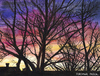 Cartoon: Abenddämmerung (small) by Pascal Kirchmair tagged natur,crepuscule,abenddämmerung,dusk,twilight,anochecer,crepuscolo,aquarell,pascal,kirchmair,watercolour,silhouettes,dipinto,pintura,picture,painting,peinture,cuadro,illustration,quadro