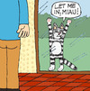 Cartoon: In or Out (small) by Pascal Kirchmair tagged meow,cat,katze,minou,minet,chat,haus,maison,in,or,out,miau,house,kitchen,küche,cuisine