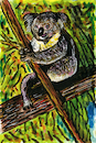 Cartoon: Koala (small) by Pascal Kirchmair tagged koala,phascolarctos,cinereus,beutelbär,koalabär,lipurus,bear,bär,ink,drawing,tuschezeichnung,dibujo,desenho,pascal,kirchmair,illustration,ilustracion,ilustracao,arte,kunst,dessin,painting,pintura,peinture,usa,zeichnung,cartoon,caricature,karikatur,illustrazione,illustratie,de,presse,tekening,teckning,cartum,vineta,comica,vignetta,caricatura,tusche,portrait,retrato,porträt,ritratto,art,artwork,encre,chine,tinta,china,inchiostro,nanquim,dipinto,malerei,pittura,gouache,watercolor,watercolour,aquarell,acuarela,australie,australia,australien