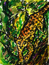 Cartoon: Leopard auf einem Baum (small) by Pascal Kirchmair tagged predator,raubkatze,predateur,felin,felino,fauve,predador,predatore,leopard,leopardo,big,cat,cats,katzen,gatos,gatti,chats,illustration,ink,drawing,zeichnung,pascal,kirchmair,cartoon,caricature,karikatur,ilustracion,dibujo,desenho,ilustracao,illustrazione,illustratie,dessin,de,presse,tekening,teckning,cartum,vineta,comica,vignetta,caricatura,tusche,tuschezeichnung,portrait,retrato,porträt,ritratto,art,arte,kunst,artwork,encre,chine,tinta,china,inchiostro,nanquim,pardo,painting,pintura,peinture,aquarell,aquarelle,watercolor,watercolour,acuarela,malerei,africa,afrique,afrika,asien,asie,asia