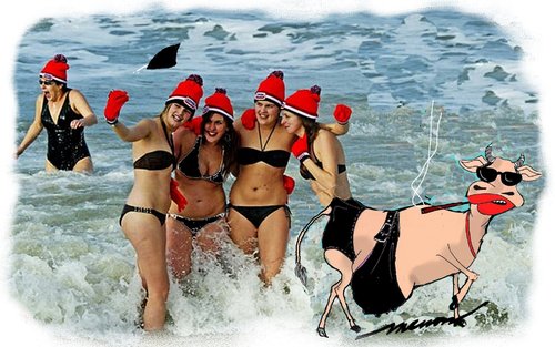 Cartoon: Beach people (medium) by kar2nist tagged beach,swimmers,selfie,shark,cow,udder