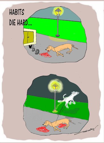Cartoon: Habits die hard (medium) by kar2nist tagged dog,death,accident,soul,lampost