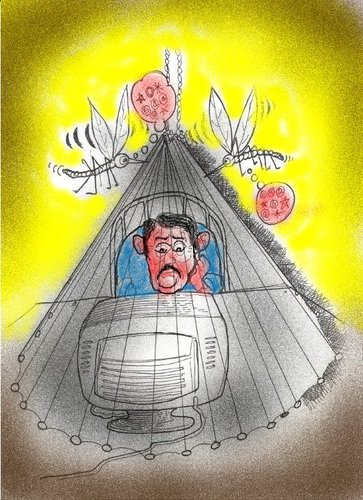 Cartoon: INTHENET BROWSING (medium) by kar2nist tagged web,net,browsing,internet,mosquitoe