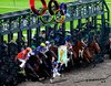 Cartoon: opympix Horse race (small) by kar2nist tagged olympics,london,eqestarian,sea,horse,starting,line