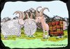 Cartoon: smart sheep (small) by kar2nist tagged sheep,wool,blanket