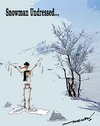 Cartoon: Snowmans sorrow (small) by kar2nist tagged snoman,global,warming,poles,melting,ice