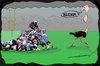 Cartoon: Soccer Suckers! (small) by kar2nist tagged soccer,ostrich,game
