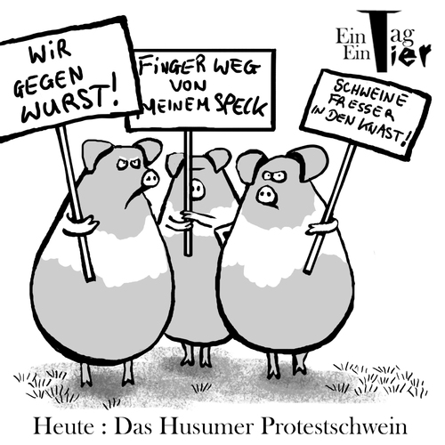 Cartoon: Das Husumer Protestschwein (medium) by Mistviech tagged tiere,natur,schwein,protestschwein,protest,demo,vegetarier,fleischfresser