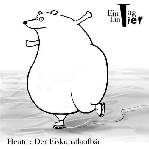 Cartoon: Der Eiskunstlaufbär (medium) by Mistviech tagged tiere,natur,eisbär,bär,arktis,eiskunstlauf,schlittschuhe
