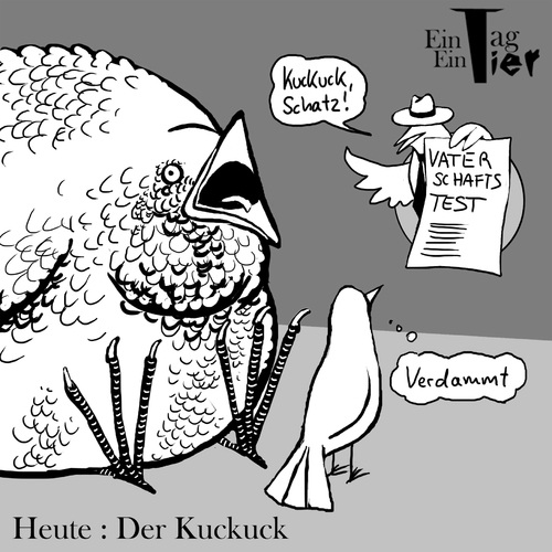 Cartoon: Der Kuckuck (medium) by Mistviech tagged tiere,natur,vögel,kuckuck,kuckuckskind,vaterschaftstest
