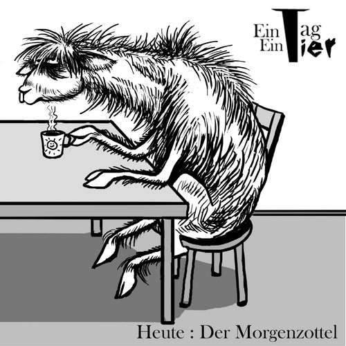 Cartoon: Der Morgenzottel (medium) by Mistviech tagged tiere,natur,ein,tag,tier,zotteltier,morgenmuffel,kaffee,alpaka,lama