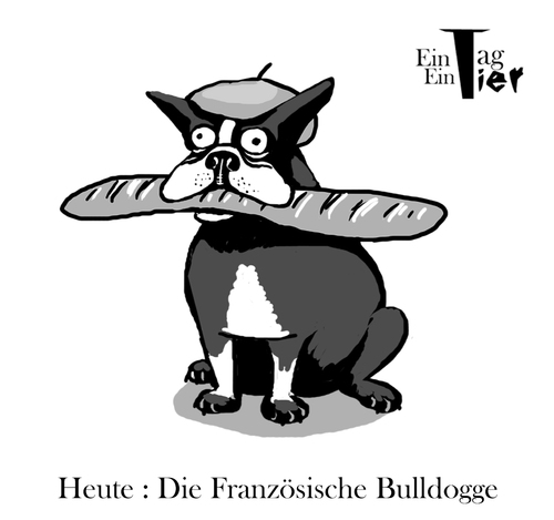 Cartoon: Die Französische Bulldogge (medium) by Mistviech tagged tiere,natur,französische,bulldogge,baguette,apportieren,hund,haustier,baskenmütze,frankreich