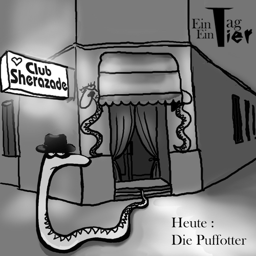 Cartoon: Die Puffotter (medium) by Mistviech tagged tiere,natur,schlage,puffotter,puff,bordel