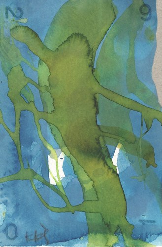 Cartoon: Sargasso Sea botany is art (medium) by Kestutis tagged dada,postcard,liner,sea,botany,art,kunst,kestutis,lithuania