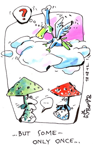 Cartoon: CHEFS SENTENCE (medium) by Kestutis tagged chef,sentence,turtle,pirate,kestutis,siaulytis,lithuania,mushrooms,pilze,adventure,lebensmittel,food,kitchen,cook