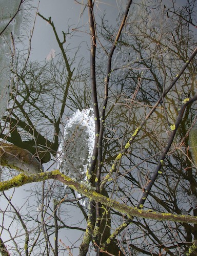 Cartoon: Different spring. DADA Photo (medium) by Kestutis tagged spring,dada,photo,nature,kestutis,lithuania