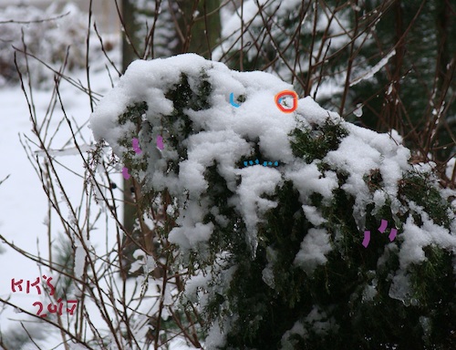 Cartoon: Winter decorated (medium) by Kestutis tagged winter,decorated,photo,kestutis,lithuania,observagraphics