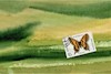 Cartoon: Artistic metamorphosis (small) by Kestutis tagged metamorphosis dada postcard butterfly nature biology art kunst kestutis lithuania