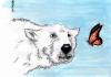 Cartoon: CALENTAMIENTO GLOBAL (small) by HCATALAN tagged mariposa oso buterfly bear calentamiento naturaleza polar