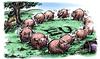 Cartoon: EURO-PIGS (small) by toon tagged euro,money,crisis