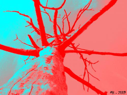 Cartoon: MH - Red Tree (medium) by MoArt Rotterdam tagged photoshop,tree,redtree,red,spooky,dead,deadtree