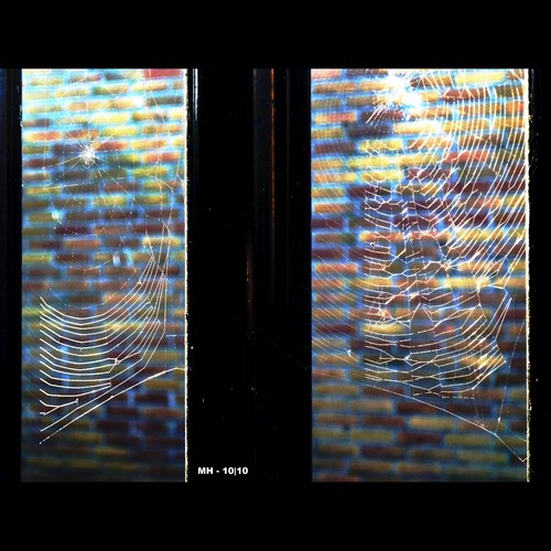 Cartoon: MH - The Spider Windows (medium) by MoArt Rotterdam tagged rotterdam,spider,spin,cobweb,spiderweb,spinneweb,window,raam