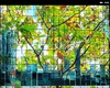 Cartoon: MH - City in Glass III (small) by MoArt Rotterdam tagged rotterdam city stad glazenstad glasscity photoblend fotomix summer zomer endofsummer fadingsummer zomereinde richtingherfst autumn autumnleaves