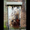 Cartoon: MoArt - The Door 11 (small) by MoArt Rotterdam tagged rotterdam moart moartcards door deur verlaten abandoned horror scifi