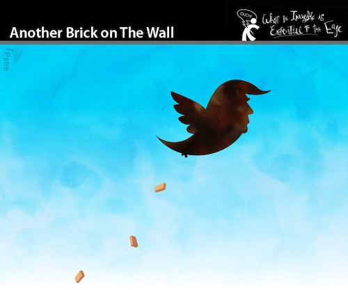 Cartoon: Another Brick on the Wall (medium) by PETRE tagged trump,america,wall,frontline