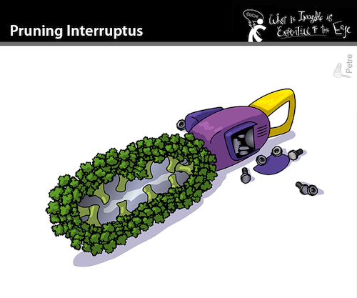 Cartoon: PRUNING INTERRUPTUS (medium) by PETRE tagged chainsaw,kettensäge,argentina,milei,elections,wahl