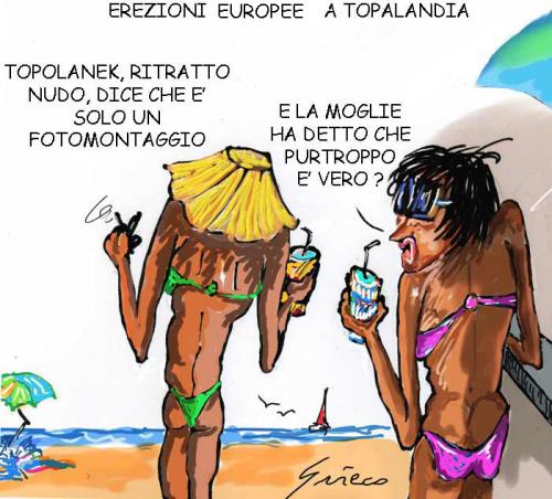 Cartoon: EREZIONI EUROPEE (medium) by Grieco tagged grieco,topolanek,elezioni