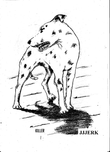 Cartoon: Killer (medium) by jjjerk tagged killer,bergins,quest,dalmation,dog,spots,ireland,cartoon