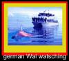 Cartoon: whale watching (small) by dreifusz tagged fette,deutsche,