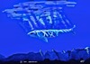 Cartoon: UNDER WATER (small) by tonyp tagged arp sharks under water arptoons