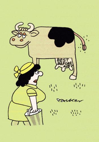 Cartoon: Cow belles. (medium) by daveparker tagged milkmaid,happy,cow,milk,by,date,