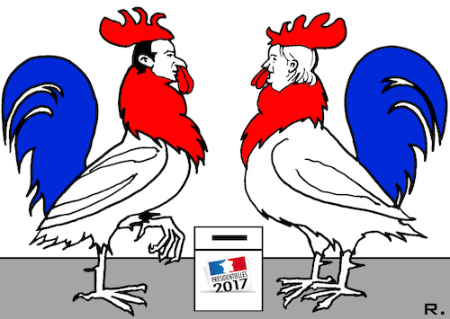 Cartoon: cockfight (medium) by RachelGold tagged election,france,macron,lepen