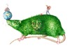 Cartoon: Keine Ahnung (small) by Thomas Bühler tagged ratte heim tiere