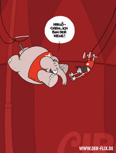 Cartoon: Ich bin der Neue!!! (medium) by Flix tagged elefant,frau,trapez,zirkus