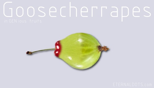 Cartoon: Goosecherrapes (medium) by eternaldots tagged cherry,gooseberry,grape,mixed,fruit,gen