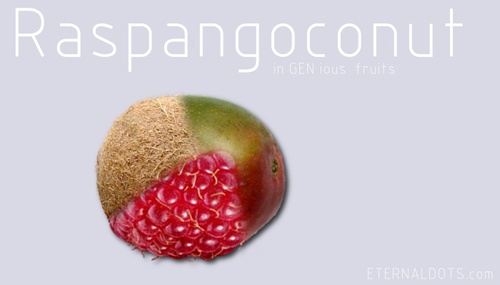 Cartoon: Raspangoconut (medium) by eternaldots tagged raspberry,mango,coconut,mixed,fruit,gen