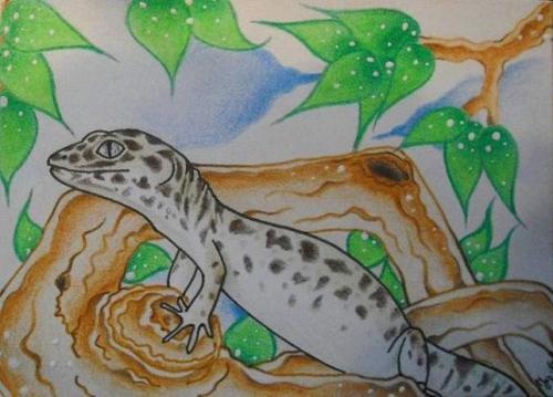 Cartoon: Leopardgecko (medium) by Metalbride tagged gecko,tiere