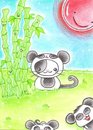 Cartoon: Kitty or Panda II (small) by Metalbride tagged traiding,card,katze,widget