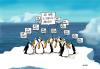 Cartoon: Pinguine habens auch nicht leich (small) by andre sedlaczek tagged pinguine,kalt,arsch